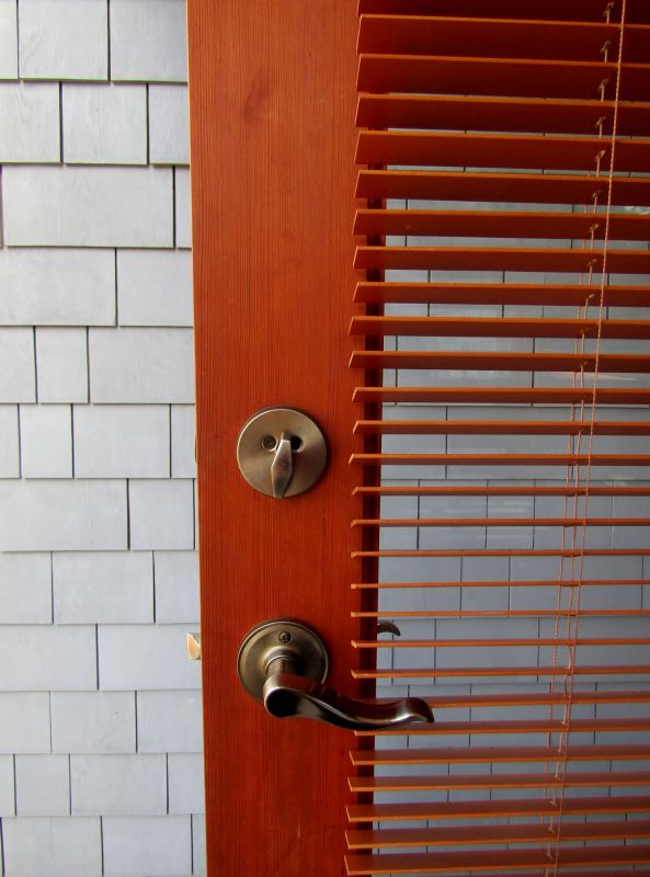 Modern Door Blinds Design